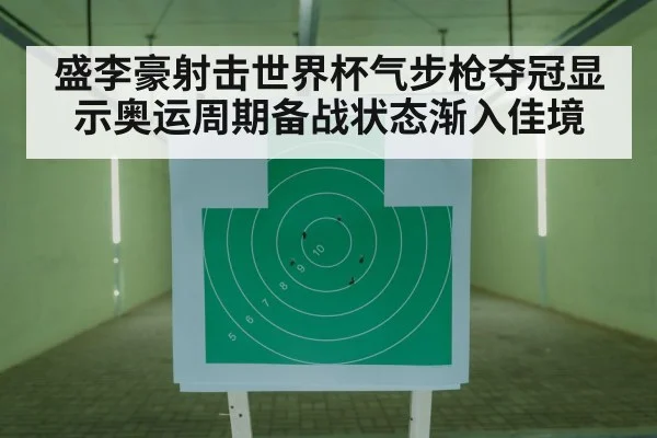 air rifle target