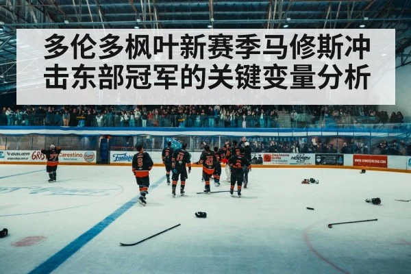 hockey arena crowd night